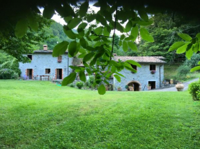 Relax totale nel Bosco Lucca